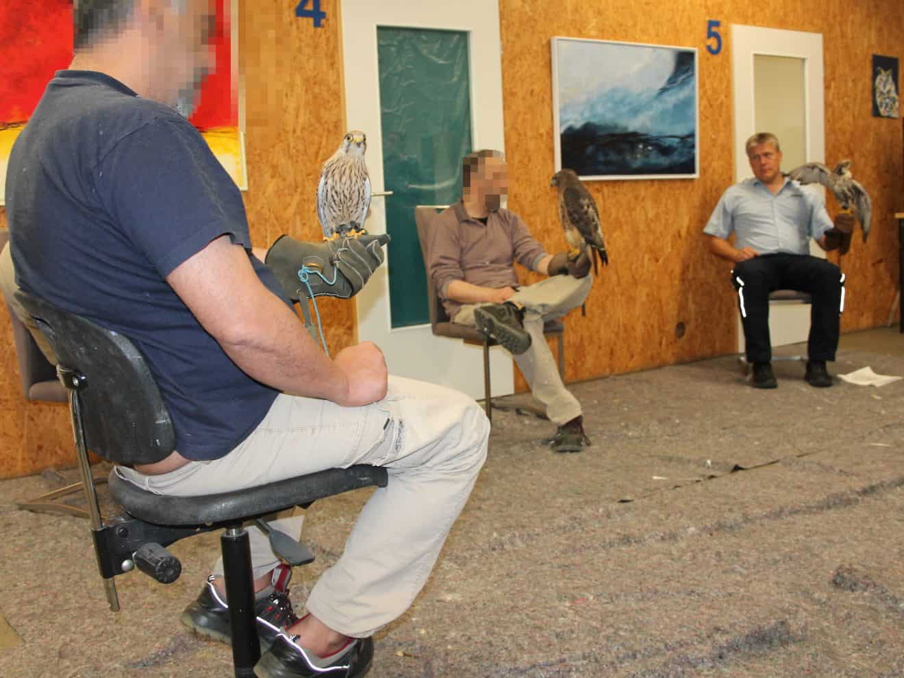 Umgang mit Eulen und Greifvögeln zum Erlernen von Achtsamkeit